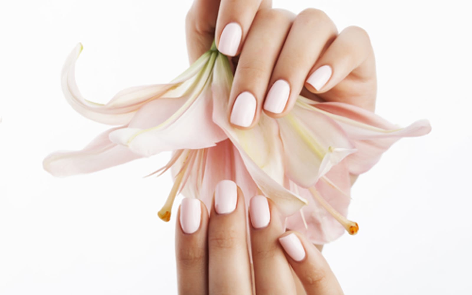 Manicura